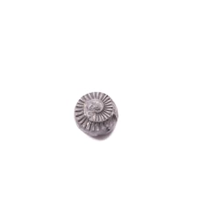Sudarshan Shaligram: Golden Chakra Stone, 2 inches