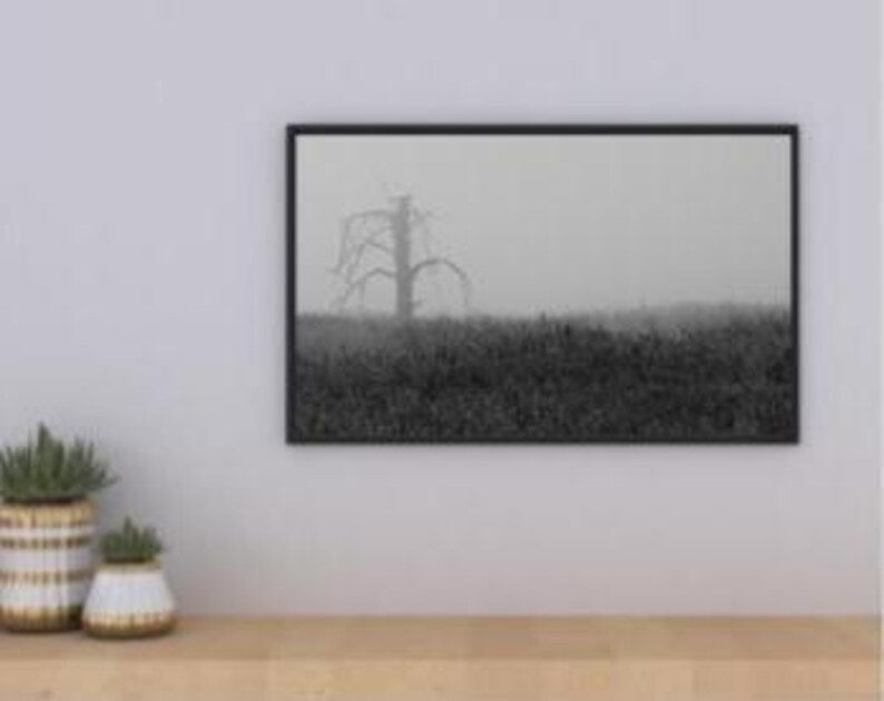May include: A framed black and white photograph of a barren tree in a field. The photograph is in a black frame and hangs on a white wall. Two small potted plants sit on a wooden surface below the photograph.