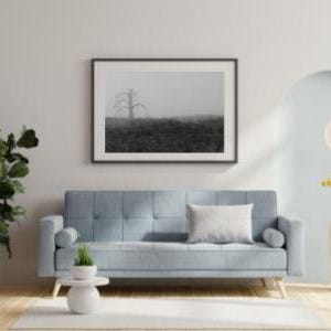 May include: A living room scene featuring a light blue sofa with a white pillow, a framed black and white landscape print, and a large potted plant. A white vase holds yellow flowers, and a pendant light hangs from the ceiling.