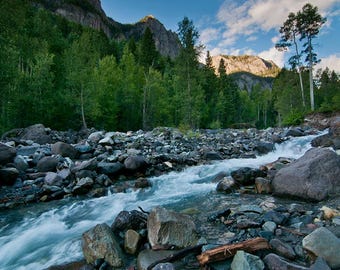 Yankee Boy Morning – Rocky Mountain Stream Landscape Photography Print