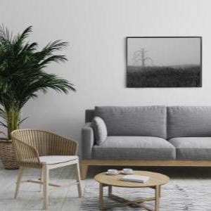 May include: A modern living room with a gray sofa, a round wooden coffee table, and a woven chair. A framed black and white landscape art piece hangs on the white wall. A large potted palm tree adds a touch of greenery to the space.