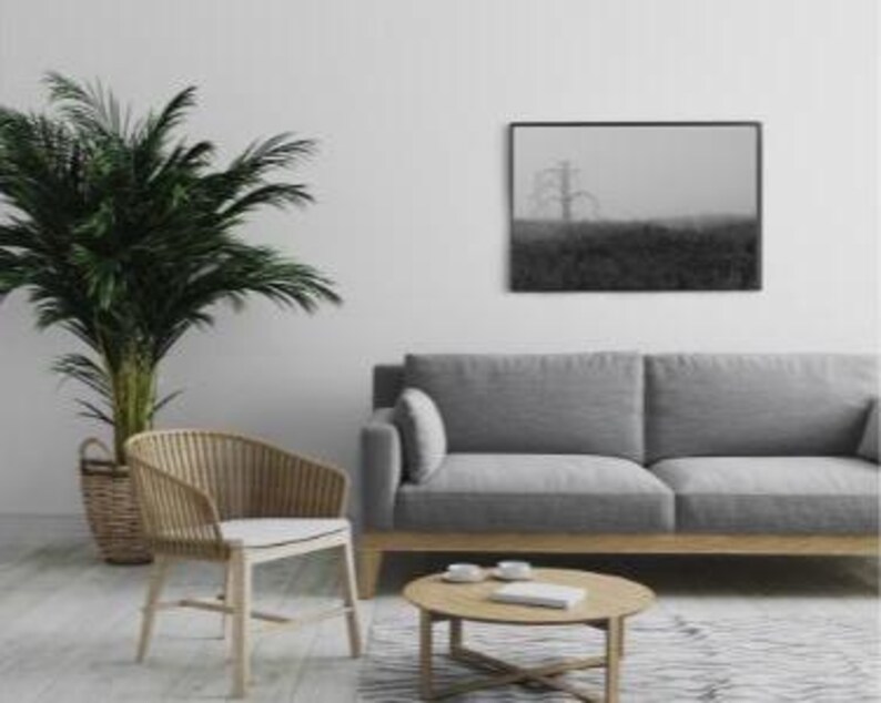 May include: A modern living room with a gray sofa, a round wooden coffee table, and a woven chair. A framed black and white landscape art piece hangs on the white wall. A large potted palm tree adds a touch of greenery to the space.