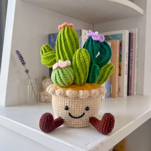 May include: A crocheted cactus plant in a beige pot with a smiling face and brown feet. The cactus has green and dark green sections with pink and purple flower accents. The pot sits on a white shelf.
