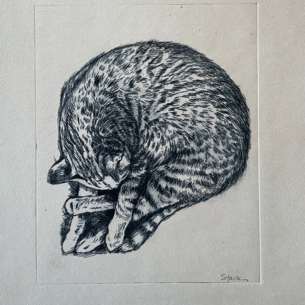 Sleeping Tabby Cat Drypoint Etching Original wall art Cat illustration Art