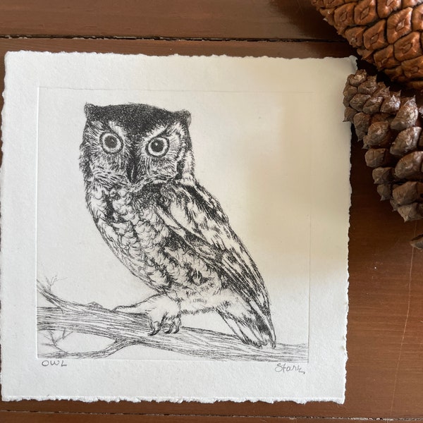 Owl Drypoint Print - Original Drypoint Wildlife Etching - Woodland Owl Art