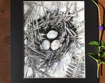 Nature Art Mono-Print Nest with Eggs Wall Art