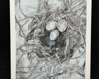 Eggs In Nest Art Print, Black and White Wall Art, Modern Rustic