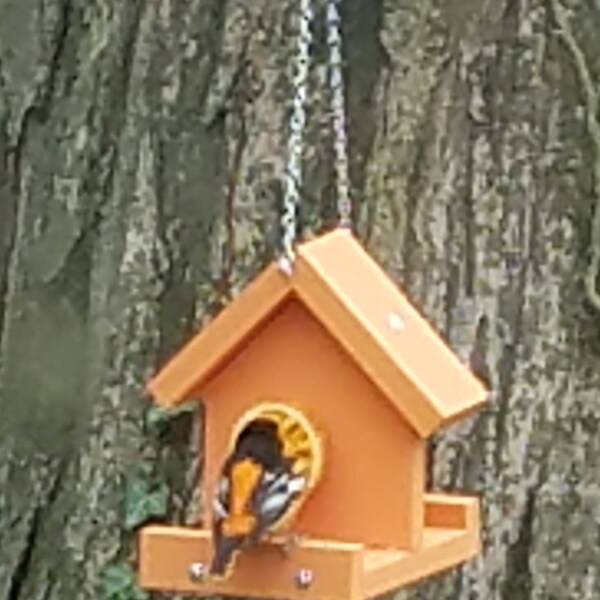 Oriole  Orange Feeder