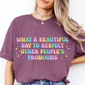 Equal rights for others does not mean fewer rights for you shirt, it not pie shirt, LGBT Shirt, Gender equality, Transgender Rainbow, Pride