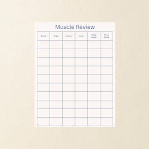 Puede incluir: Una hoja de papel blanca con una cuadrícula azul y el título "Muscle Review" en la parte superior. La cuadrícula está dividida en columnas etiquetadas como "Muscle", "Origin", "Insertion", "Action", "Blood supply" y "Nerve supply".