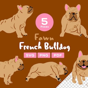 Hand Drawn French Bulldog Clipart – [Fawn] Frenchie – 5 Cute Poses | SVG PNG PDF | Dog Illustration for Stickers & Crafts