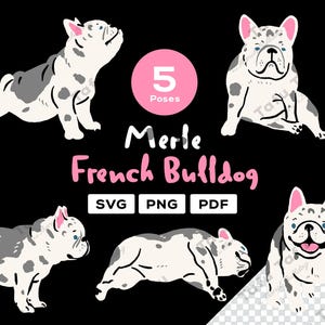 Handgezeichnete Französische Bulldogge Clipart – [Merle] Frenchie – 5 süsse Posen | SVG PNG PDF | Hunde Illustration für Sticker & zum Basteln