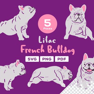 Handgezeichnete Französische Bulldogge Clipart - [Flieder] Frenchie - 5 süße Posen | SVG PNG PDF | Hunde Illustration für Sticker & zum Basteln