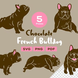 Clipart de Buldogue Francês Desenhado à Mão – [Chocolate] Frenchie – 5 Poses Fofas | SVG PNG PDF | Ilustração de Cachorro para Adesivos e Artesanato