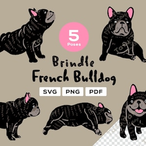 Hand Drawn French Bulldog Clipart – [Brindle] Frenchie – 5 Cute Poses | SVG PNG PDF | Dog Illustration for Stickers & Crafts