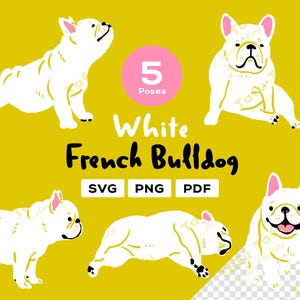 Handgezeichnete Französische Bulldogge Clipart - [Weiß] Frenchie - 5 süße Posen | SVG PNG PDF | Hunde Illustration für Sticker & zum Basteln