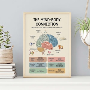 Könnte beinhalten: Ein gerahmtes Lehrplakat mit dem Titel THE MIND-BODY CONNECTION, das eine zentrale Abbildung eines menschlichen Gehirns mit beschrifteten Lappen und Symbolen zeigt. Unter dem Gehirn listen farbcodierte Kästchen die Funktionen von Hirnstamm, Frontal-, Parietal-, Okzipital-, Temporallappen und Kleinhirn auf.
