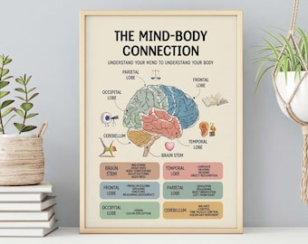 Könnte beinhalten: Ein gerahmtes Lehrplakat mit dem Titel THE MIND-BODY CONNECTION, das eine zentrale Abbildung eines menschlichen Gehirns mit beschrifteten Lappen und Symbolen zeigt. Unter dem Gehirn listen farbcodierte Kästchen die Funktionen von Hirnstamm, Frontal-, Parietal-, Okzipital-, Temporallappen und Kleinhirn auf.