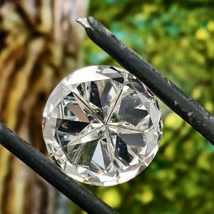 May include: A large, round, faceted diamond held by black tweezers. The diamond sparkles with numerous internal reflections. The background is a blurred view of green foliage and a tree trunk.