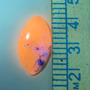 May include: An oval-shaped, orange gemstone with dark inclusions and blue fluorescence. The gemstone is next to a ruler, which measures in inches. The gemstone is approximately 1.5 inches long.