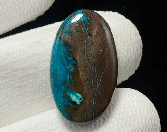 May include: An oval-shaped gemstone with a polished surface. The stone features a striking combination of brown and turquoise blue hues, with intricate veining patterns. The gemstone is held by a gloved hand.