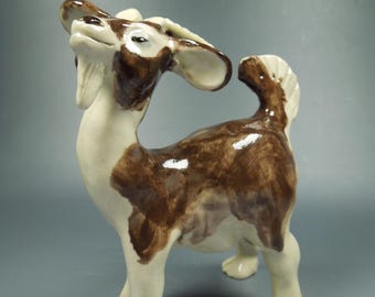 Brown Goat