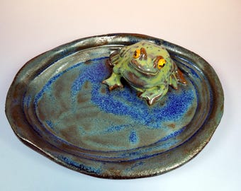 Toad on A Dish