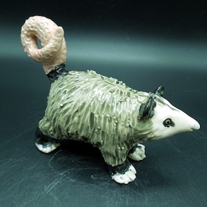 Small Opossum