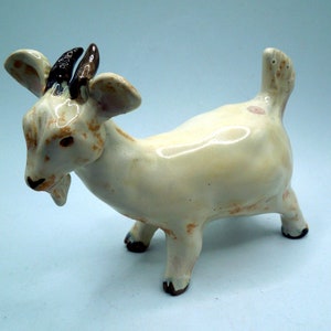 Fat Tan Goat