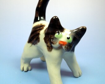 Gato pequeño atigrado marrón y blanco