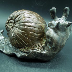 Dark Garden Snail