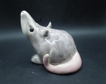 Opossum