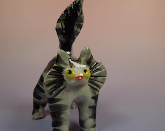 Fluffy Gray Tabby Cat