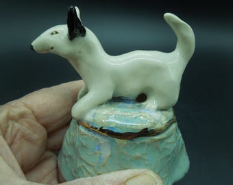Bull Terrier on Ottoman
