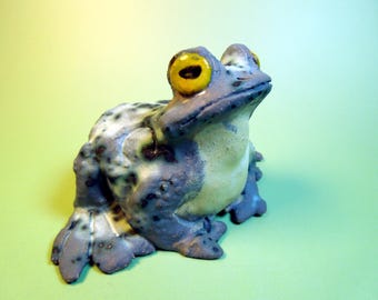Spotted Garden Toad