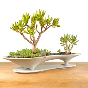 May include: A white ceramic planter with a distinctive wave-like design, featuring two succulent plants. The larger plant has green leaves and a brown stem, while the smaller plant has green leaves and a light brown stem. The planter is sitting on a wooden surface.