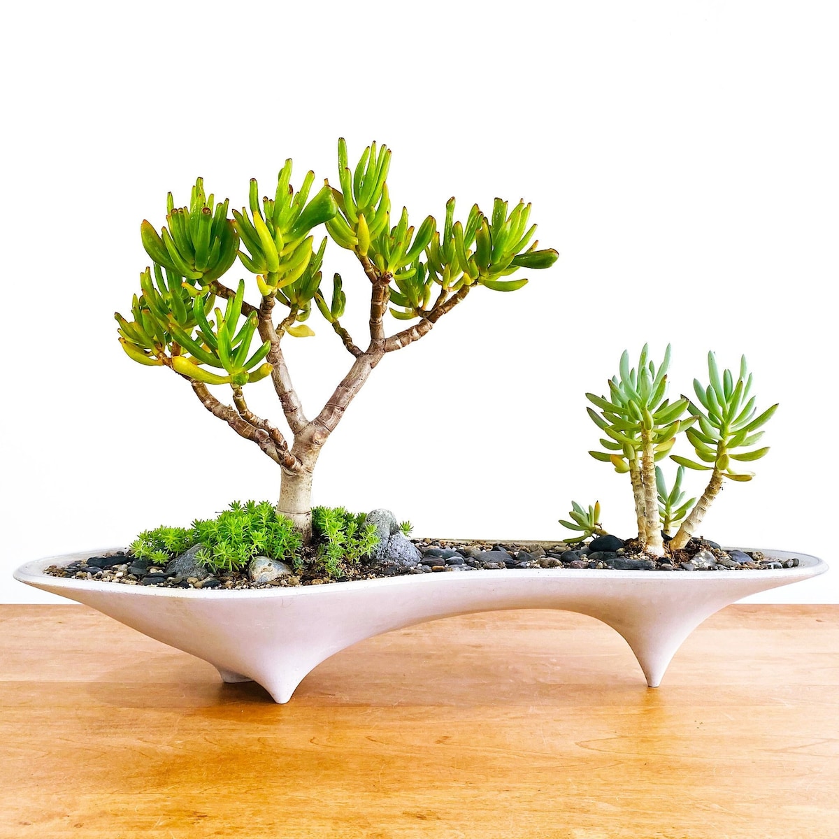 Island Concrete Modern Planter - Long Planter Centerpiece, Home Decor, Office Planter, Gift, Modern Design, Succulent Plants - Etsy