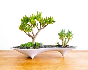 Concrete Succulent & Bonsai Island Planter - Modern Long Centerpiece • Mid-Century Minimal Design (21")