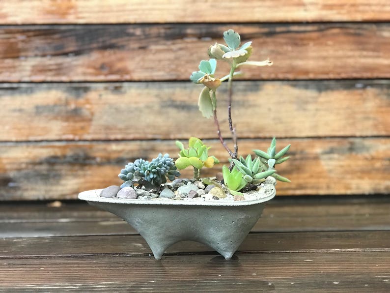 Set of 3 Island concrete planters modern objects for Unique mini succulent landscapes Mini Island Island Planter Rock Island planter