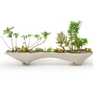 Twin Island Planter, concrete modern planter | great for mini garden & bonsai garden