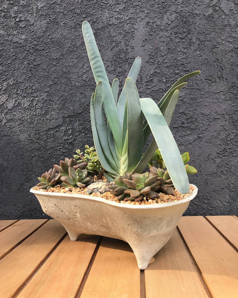 Set of 3 Island concrete planters modern objects for Unique mini succulent landscapes Mini Island Island Planter Rock Island planter