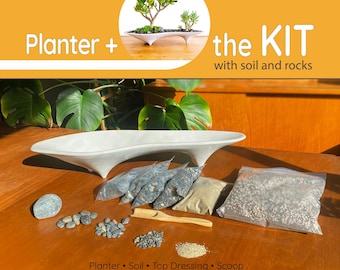 Kit per piantagione di piante grasse + fioriera a isola / Set completo di centrotavola in cemento pronto per la semina per bonsai e piante grasse (21")