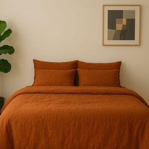 May include: A bedroom scene featuring a bed with rust-colored bedding, including a duvet cover and pillows. A framed abstract artwork hangs on the wall above the bed. A potted plant and a wooden nightstand complete the decor.