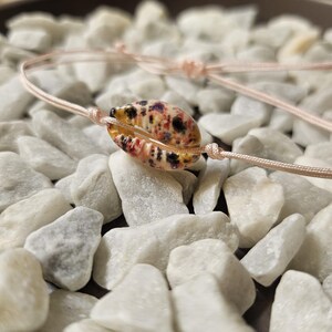 Può includere: Un delicato braccialetto con un ciondolo a conchiglia naturale. Il guscio è macchiato di rosso, nero e giallo, infilato su un cordino rosa chiaro. Il braccialetto poggia su un letto di pietre bianche, creando un'estetica da spiaggia.