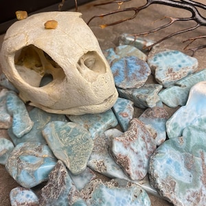 May include: A collection of blue and brown larimar stones with a turtle skull and small orange crystals. The larimar stones vary in size and shape, with a mix of blue and brown hues. The turtle skull is off-white and has visible eye sockets.