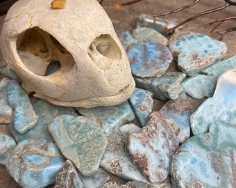 May include: A collection of blue and brown larimar stones with a turtle skull and small orange crystals. The larimar stones vary in size and shape, with a mix of blue and brown hues. The turtle skull is off-white and has visible eye sockets.