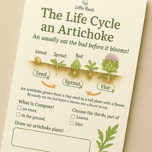 Puede incluir: Gráfico educativo que muestra el ciclo de vida de una alcachofa, desde la semilla hasta la flor. Incluye diagramas y preguntas sobre el compostaje y las partes de la planta. Texto en verde sobre fondo crema.