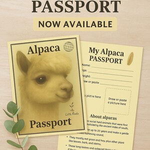 Puede incluir: Un pasaporte de alpaca beige con el texto "Pasaporte" y "Ahora disponible". El pasaporte presenta una ilustración de una alpaca y tiene espacio para escribir el nombre, la edad y el peso de la alpaca. También tiene una sección para dibujar o pegar una foto.