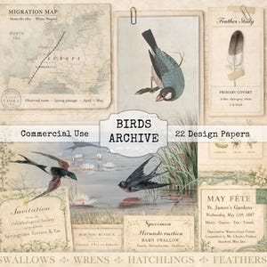 May include: A collage of vintage-style bird illustrations and ephemera. Includes a migration map, a feather study, and various bird species depicted in watercolor. The central banner reads "BIRDS ARCHIVE".