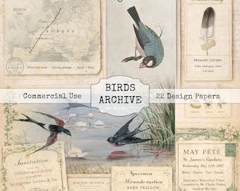 Birds Archive Vintage Ephemera Pack – Junk Journal Collage Sheets (digital nedladdning)